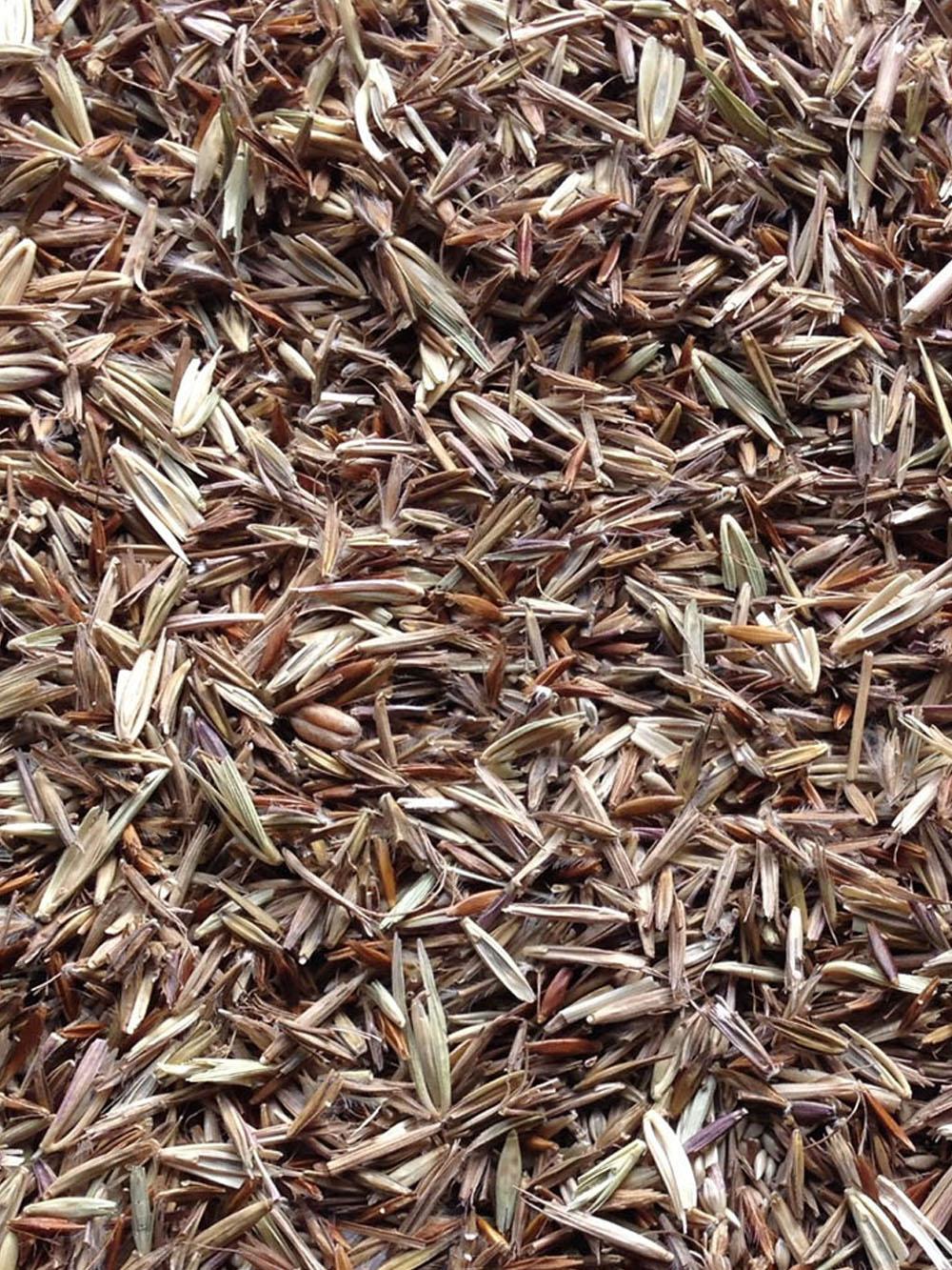 Upland Native Mix